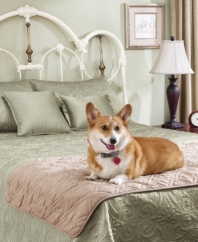 Best friends are now welcome on the bed with the Pet Bed Protector from Sure Fit. Featuring a luxurious, suede-like finish that protects your bed from paws and claws.