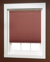 Featuring two rows of insulating cells, this cordless light-filtering double cellular shade illuminates your room while still providing the privacy you desire. Featuring versatile hues and a sleek, modern design that complements any type of decor. The easy-to-use cordless functionality allows you to adjust shade height by simply moving the bottom bar.