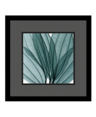 Using x-ray instead of light Steven Meyers has created an unusual print of leaves that highlights their hidden textures and subtle tones. Tastefully presented in a black wood frame that enhances the sea green of the leaves, it's ready to be displayed wherever you want a splash of natural color.