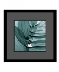 Wall-ready in black satin finished wood frame and protected with a gallery-quality, premium acrylic glaze, the artist Steven Meyers' x-ray image of lily leaves captures the transparent beauty of plants seldom seen before. Plus, its striking abstract composition will captivate many viewers.