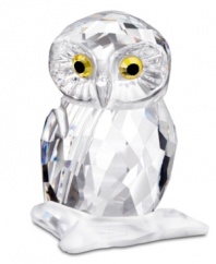 This head-turning owl figurine embodies the gentle bird's wise and peaceful spirit in faceted Swarovski crystal. With striking topaz eyes and a matte crystal perch.