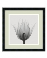 What's on the inside counts when it comes to Steven N. Meyers' astounding x-ray images. With a sleek black frame, this Triumph Tulip print offers an intriguing black-and-white look at the seemingly simple bloom.