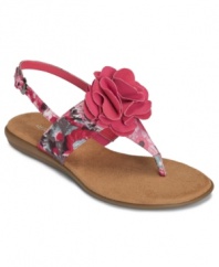 A delicate flower lends a darling touch to the Chlockwork sandal by Aerosoles. The thong strap brings a seasonal look and feel for sunny days.