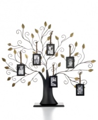 From grandpa to baby girl, get everyone you love together in Leeber's Family Tree picture frame. Six mini metal frames swing from branches in this unique arrangement, a thoughtful gift for birthdays, anniversaries and more.