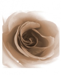 Bask in the close up of a gorgeous rose in this quietly stunning canvas print by Leftbank. The soft sepia tint creates a contemplative mood inviting the viewer to reflect on the amazing beauty of nature.