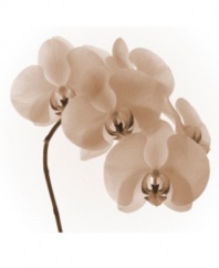 Gracefully arching stem of orchids has a calming presence and certainly will become the focal point of any wall or a room. Hang it in a prominent place to set a mood of quiet serenity for the rest of your home.