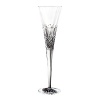Monique Lhuillier for Waterford Crystal Ellypse Champagne Flute