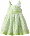 Youngland Girls 2-6X All Over Burnout Dress