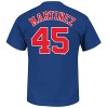 Montreal Expos Pedro Martinez Royal Blue Name and Number T-Shirt
