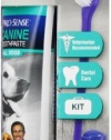 Pro Sense Dental Starter Kit, Fresh Flavor, 3-ounce (P-82617)