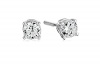 Certified 14k White Gold Diamond with Screw Back and Post Stud Earrings (1/3cttw, J-K Color, I1-12 Clarity)