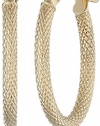 14k Yellow Gold Oval Hoop Earrings (0.6 Diameter)