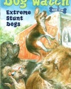 Extreme Stunt Dogs (Dog Watch)