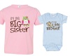 Sibling Shirt Set for Sisters and Brothers, Includes Im the Big Sister with Owl