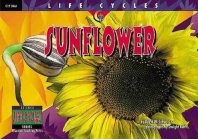 Sunflower (Life Cycles)